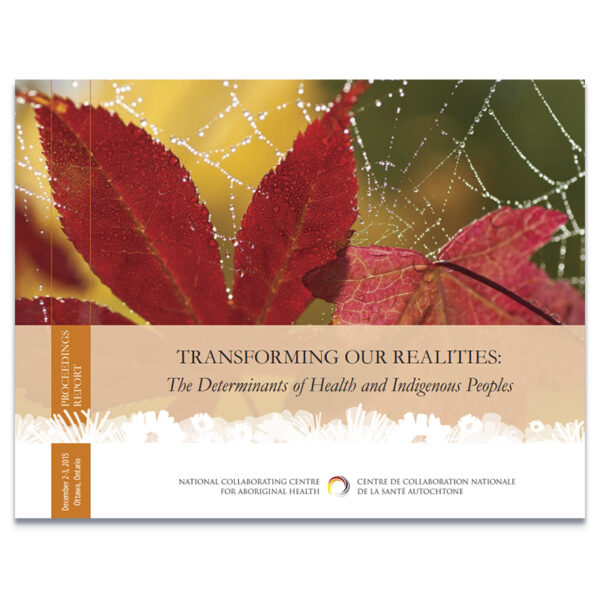 Transforming our Realities: The Determinant of Health and Indigenous ...