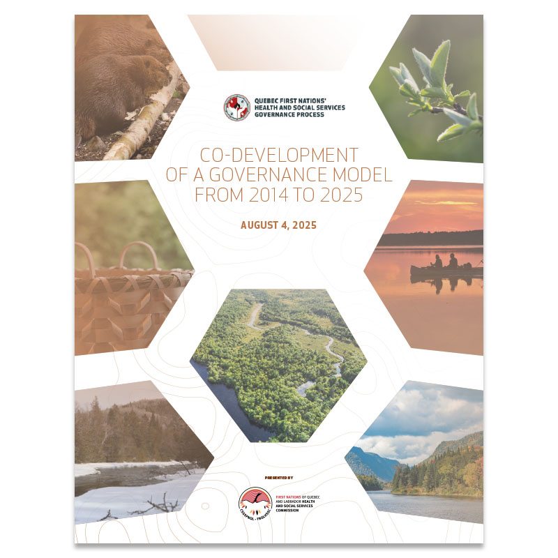 Co-development of a governance model from 2014 to 2025 August 4, 2025